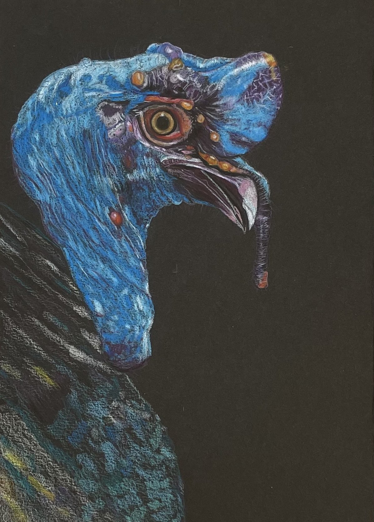 NAME: Turkey DESCRIPTION: Transport yourself to a world of whimsy and wonder with our charming drawing featuring a turquoise-headed turkey, a delightful twist on a beloved bird species. This captivating artwork combines vibrant colors, intricate deta