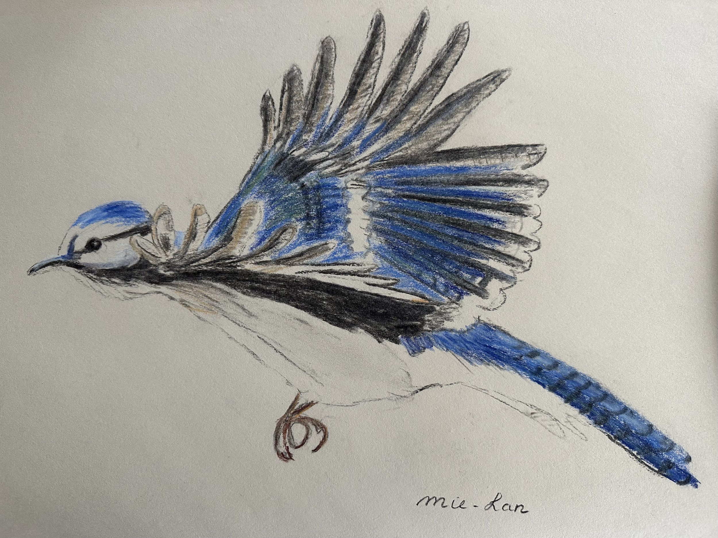 NAME: Blue Bird
DESCRIPTION: The flying blue bird is a symbol of inspiration and optimism, representing the pursuit of dreams and the courage to soar to new heights. Its presence in our drawing serves as a reminder of the power of imagination and the