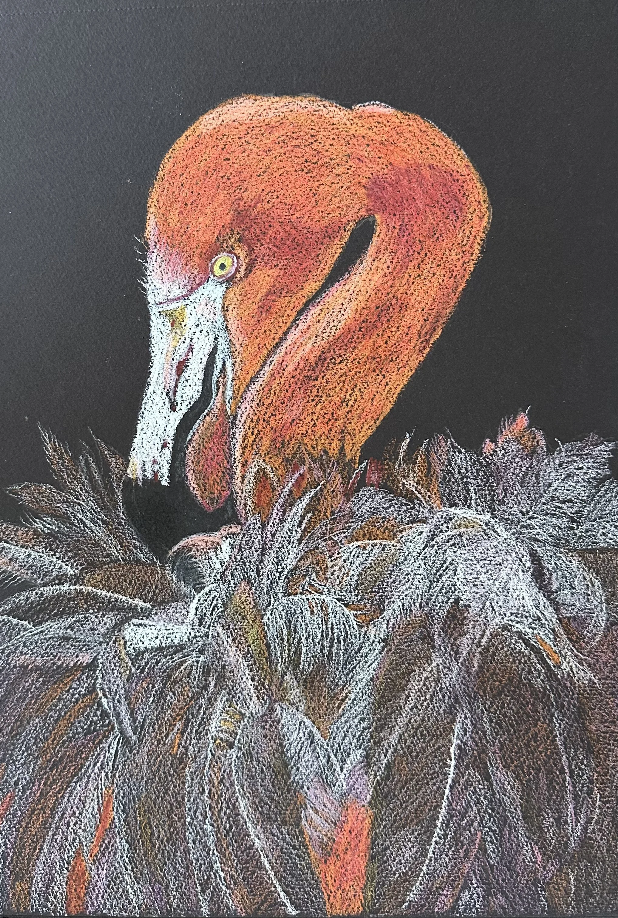 NAME: Flamingo DESCRIPTION: This drawing beautifully portrays the graceful profile of the Flamingo's head, adorned with its iconic curved beak and elegant neck. The intricate details of the Flamingo's feathers and features are brought to life with me