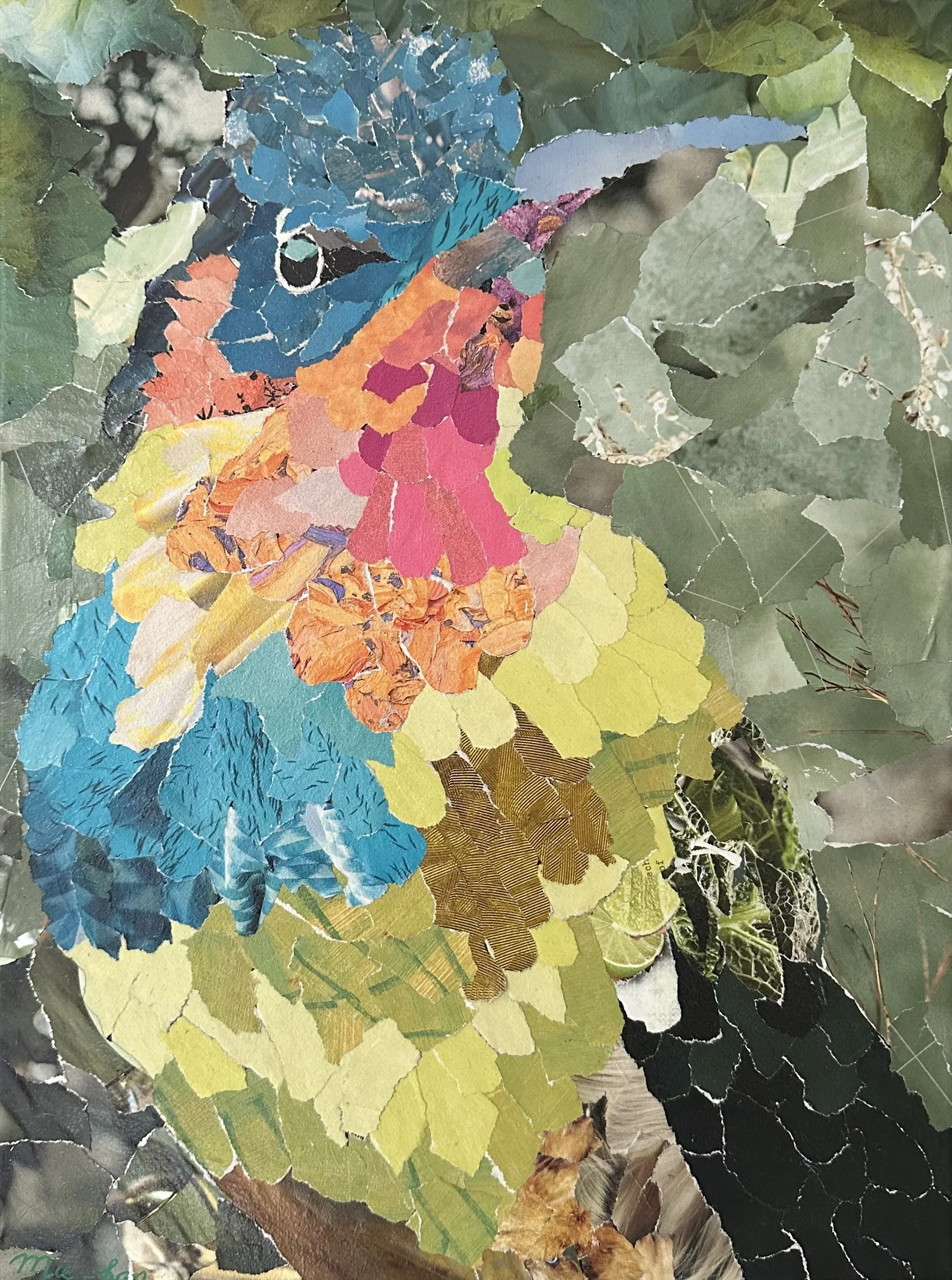 NAME:  The Hummingbird DESCRIPTION: Indulge your senses in a kaleidoscope of colors and the graceful elegance of nature with our captivating collage featuring a multitude of colorful hummingbird. This stunning artwork celebrates the beauty and vitali