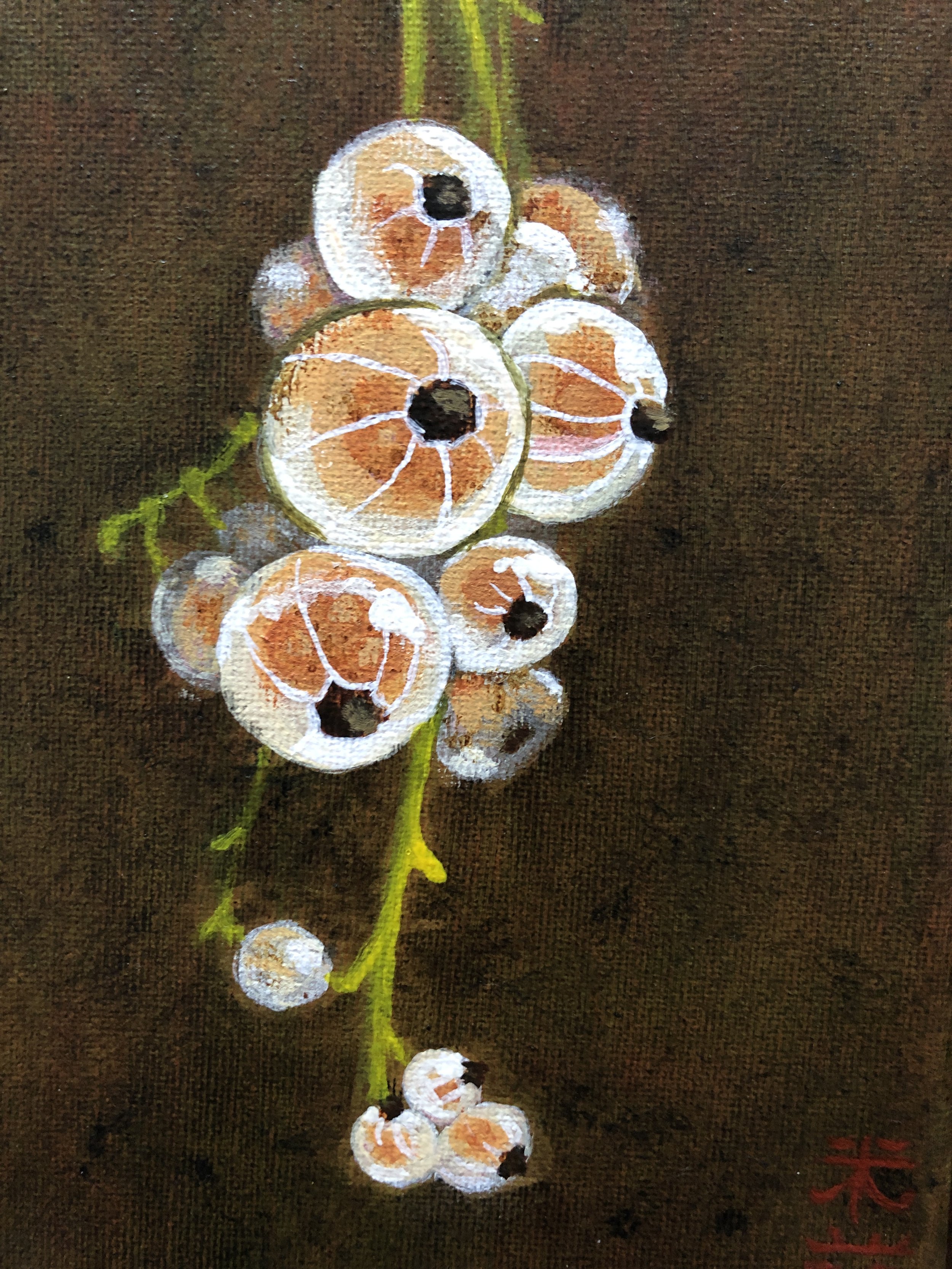 NAME:  White Currants DESCRIPTION: The perspiration of the berries expose its vulnerability so clearly.⁠ Immerse yourself in the quiet elegance and understated charm of this painting, which celebrates the timeless appeal of botanical art and the endu