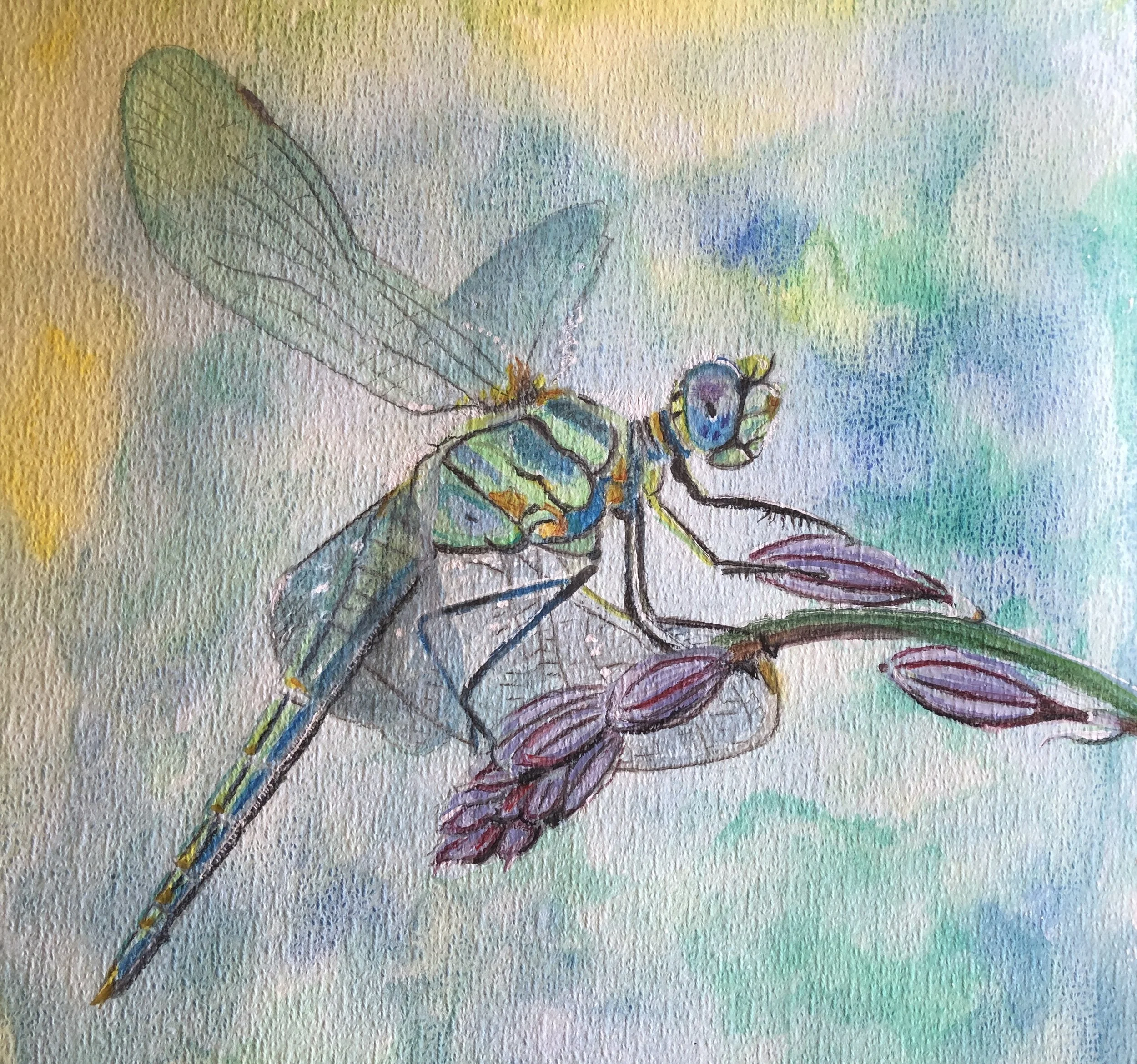 NAME: Dragon Fly
DESCRIPTION: Crafted with precision and finesse using the delicate aquarelle technique, this painting radiates a sense of serenity and fluidity that is both captivating and calming. The translucent layers of pastel colors blend seaml