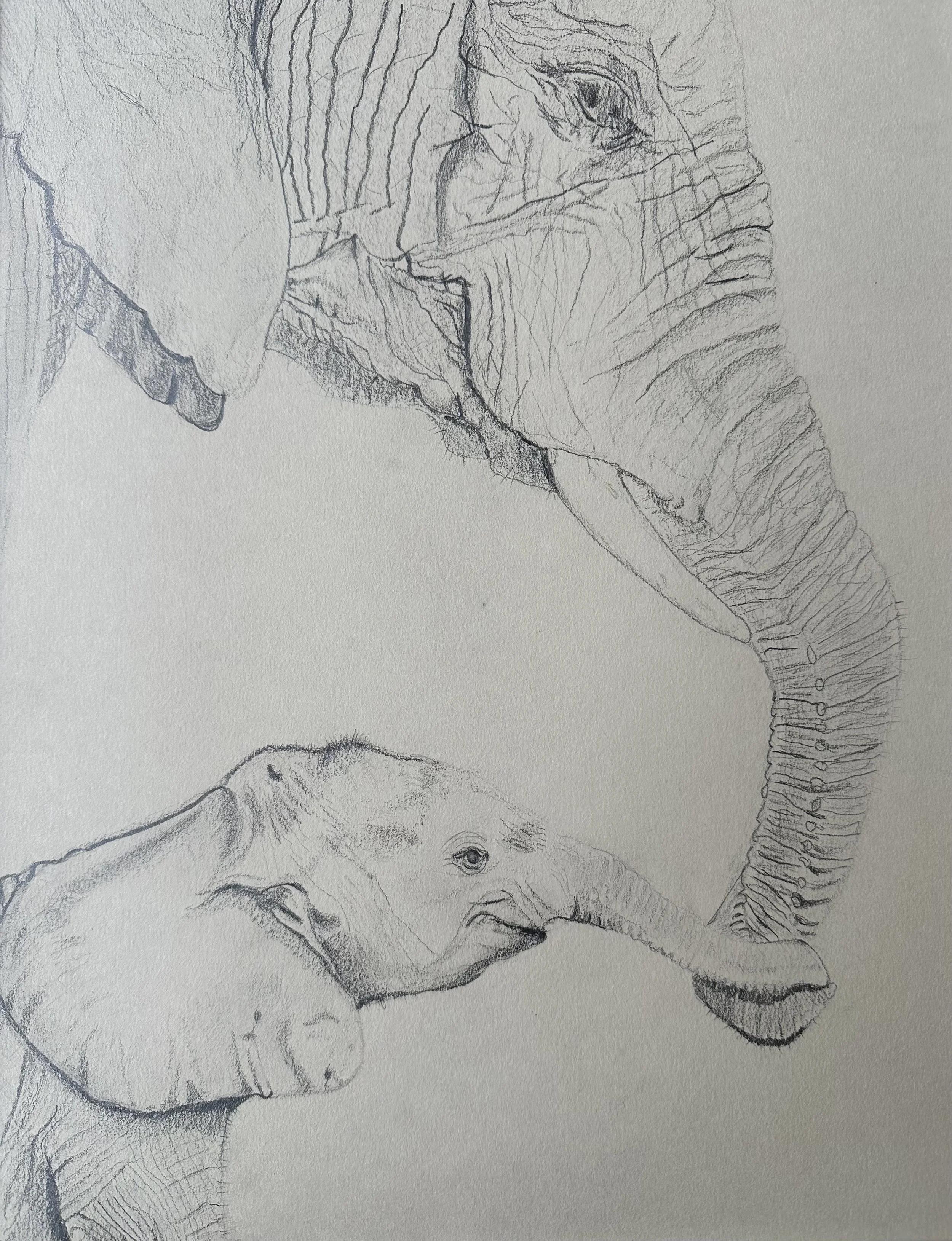 NAME: Little Elephant
DESCRIPTION: Inspired by the natural hues of the forest floor, these colors evoke a sense of groundedness and tranquility, inviting viewers to lose themselves in the beauty of the natural world.
MATERIAL: Pencil on Paper 
DIMENS