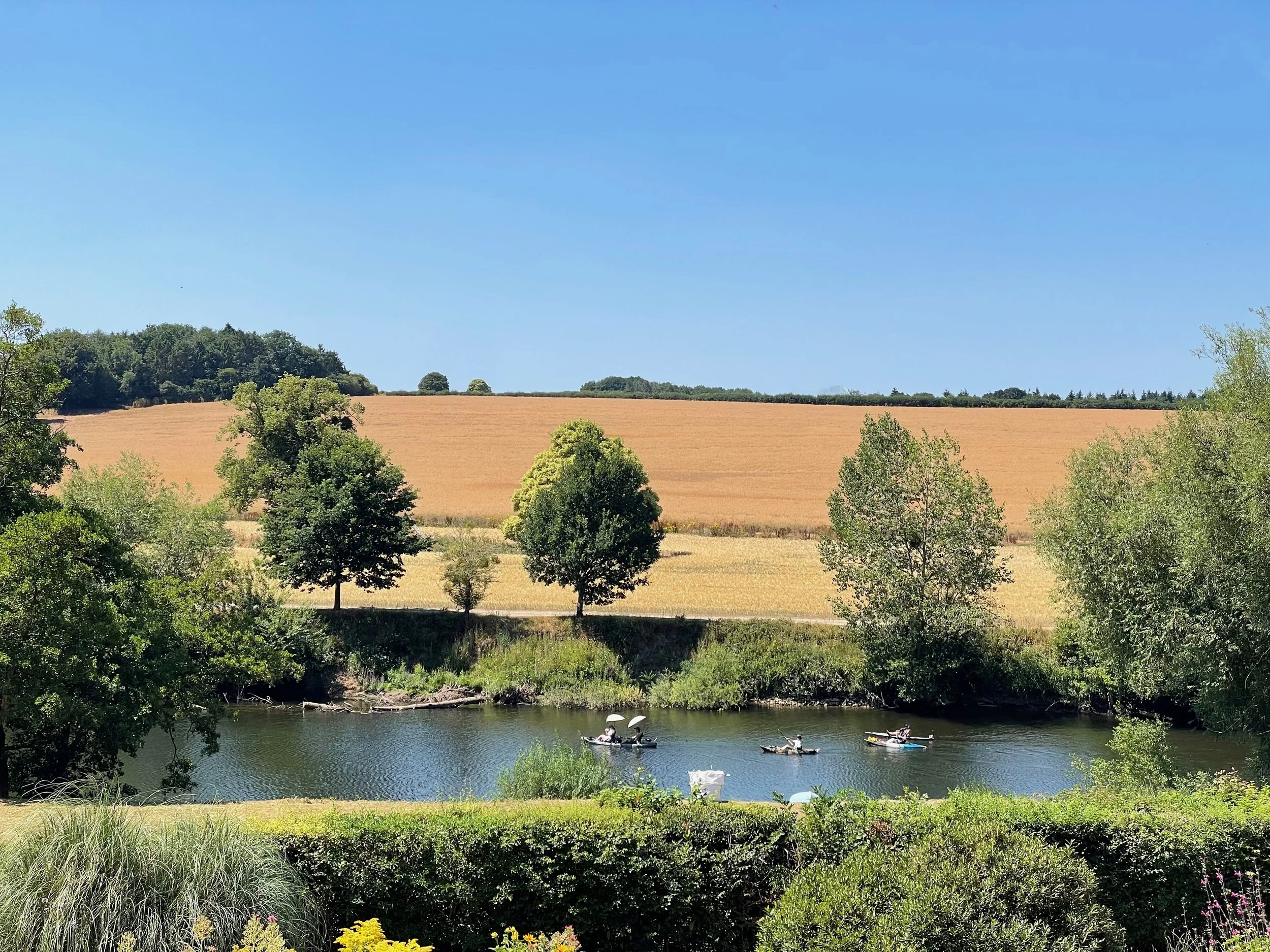 A peaceful river scene with kayakers paddling on a calm river, surrounded by lush green trees, with fields and a clear blue sky in the background.