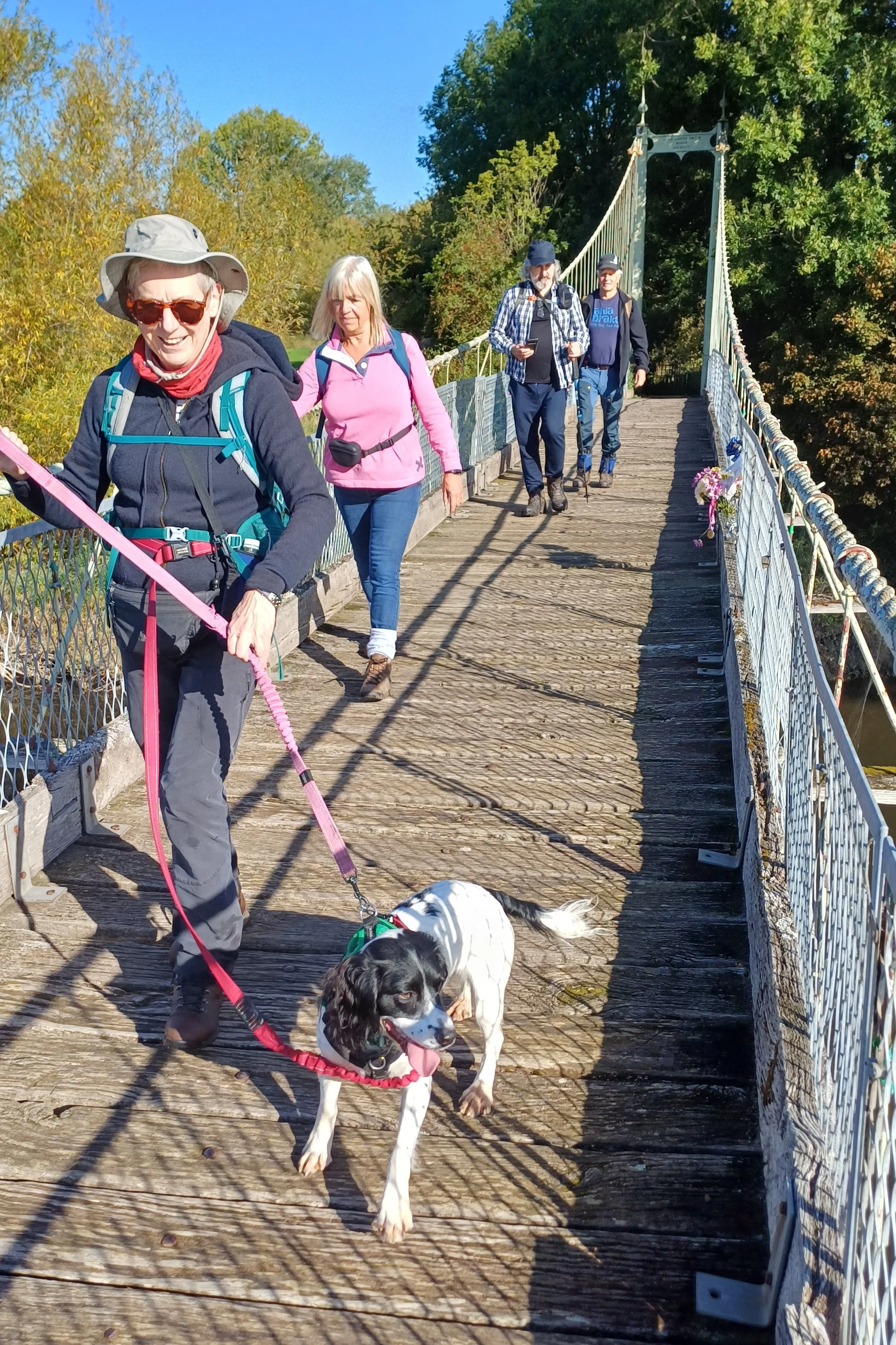 Group of people walking on a wooden suspension bridge with a dog in front, surrounded by trees with autumn foliage.