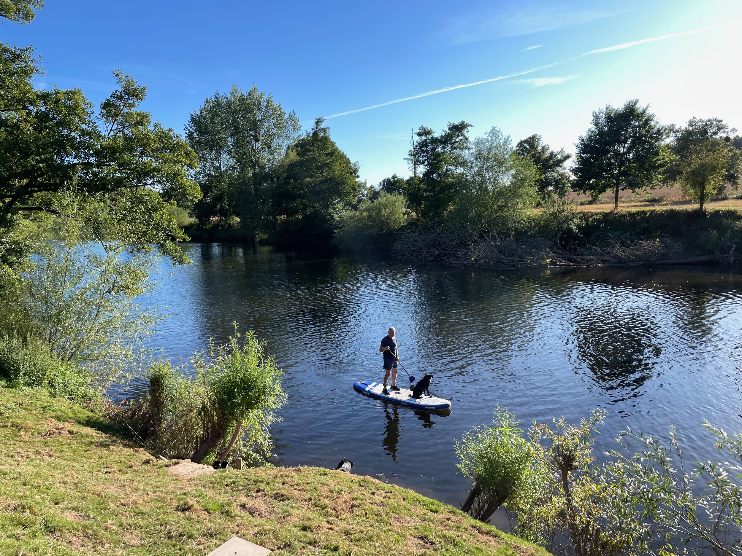 A person paddleboarding on a river with a dog sitting on the paddleboard. The scene is surrounded by lush green trees under a clear blue sky.