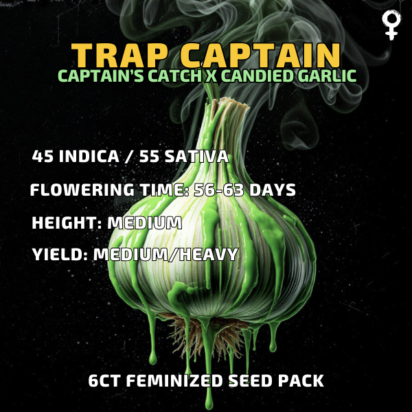 Trap Captain