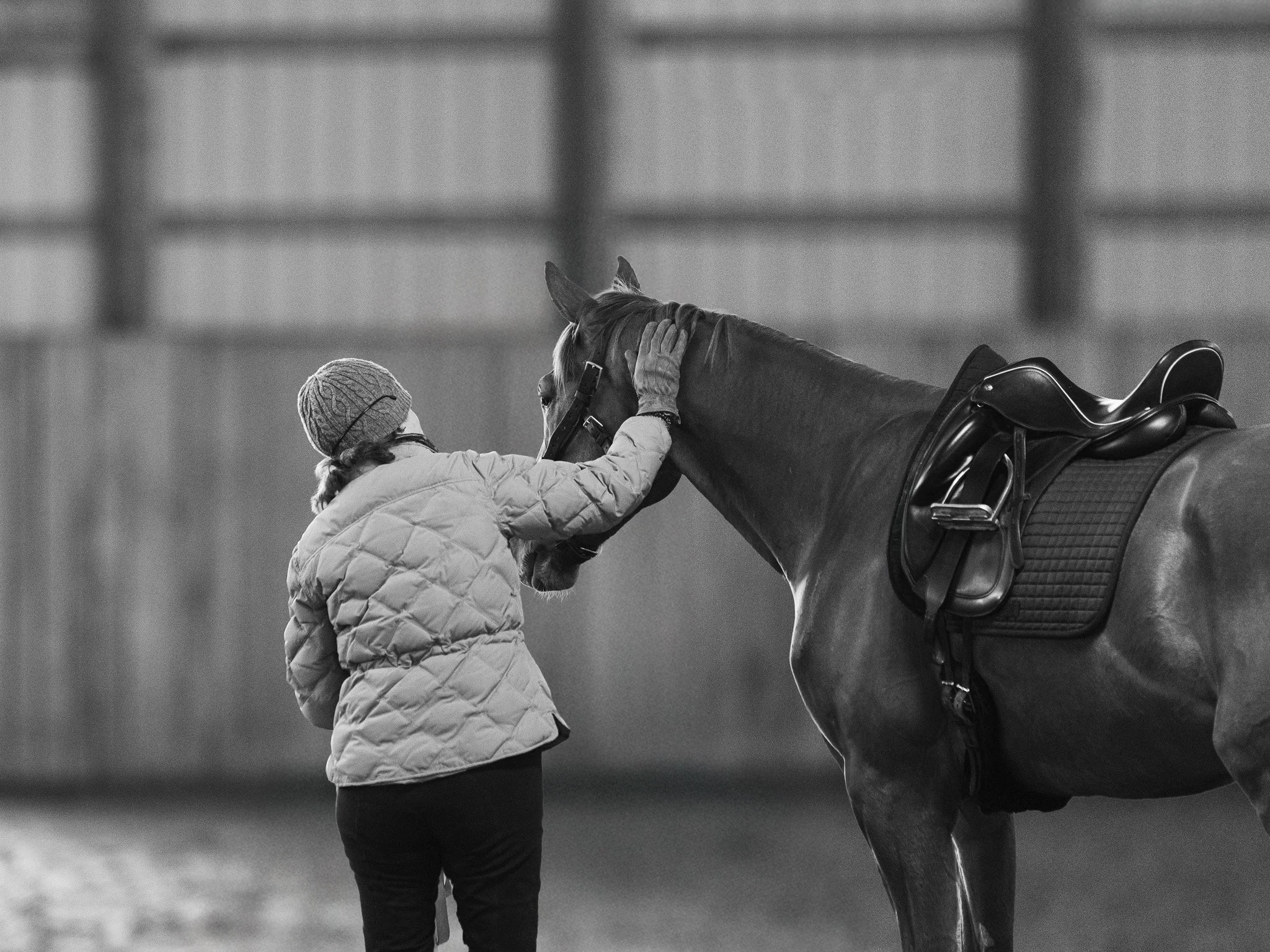 A person in a winter coat and knit hat gently touches a horse's face in an indoor riding arena.