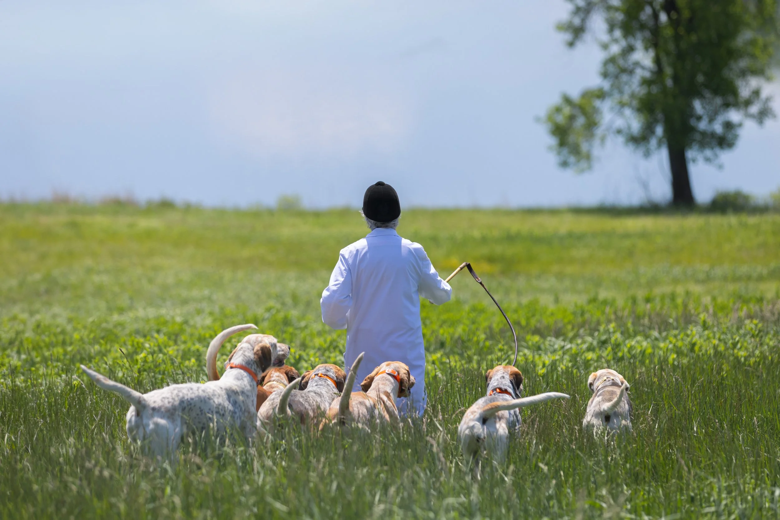 CSHC_HoundShow-7.jpg