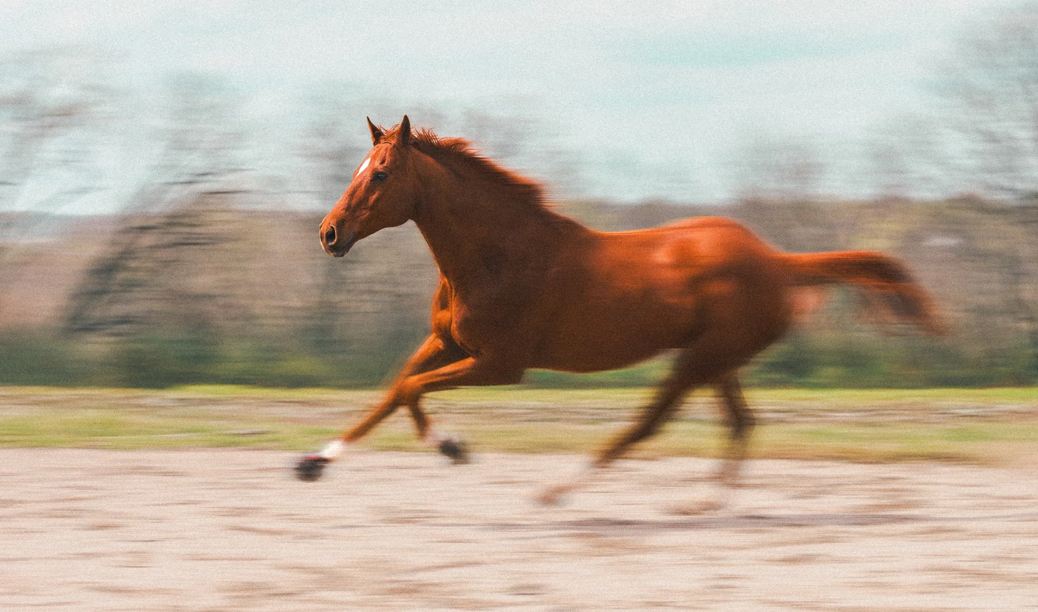 222A5084-Edit-2-Edit-2-3.jpg