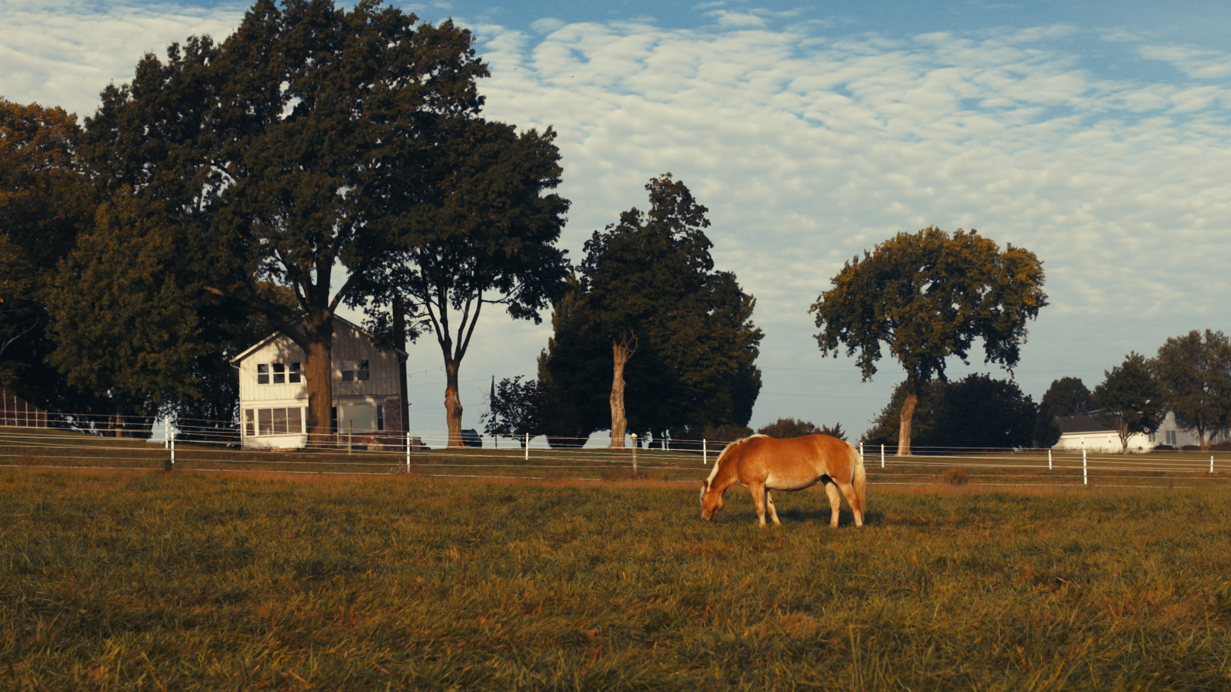 A field with a chestnut horse grazing on grass, surrounded by trees and a white fence, with a house and additional trees in the background under a partly cloudy sky.