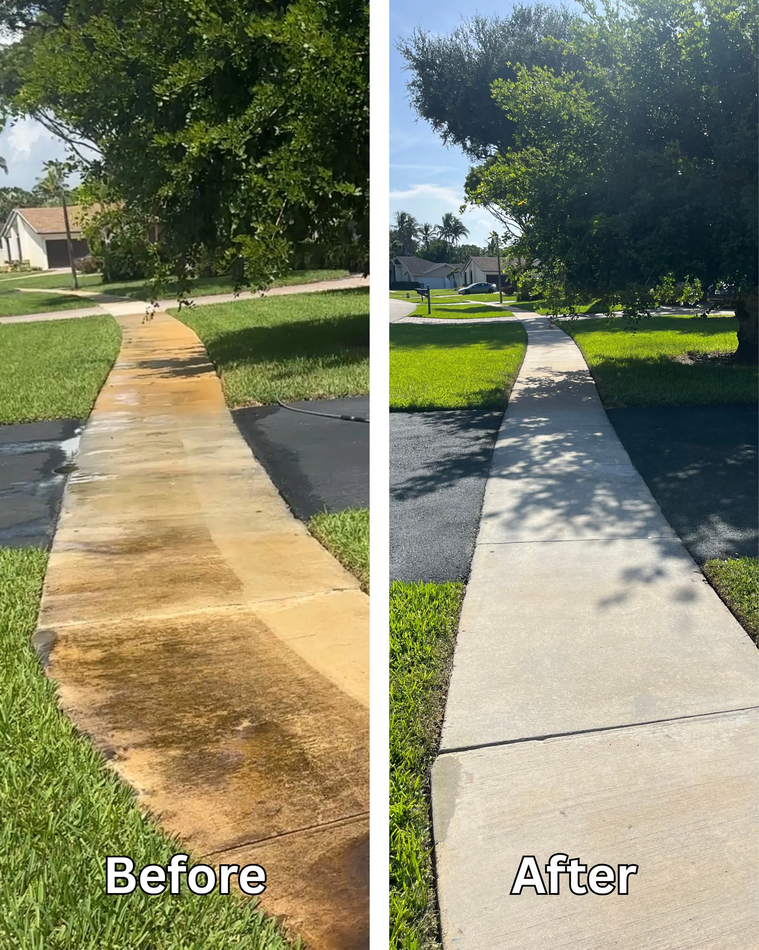 Giving some much needed love to this concrete sidewalk with a surface clean, followed by sprinkler system rust removal.

📍Serving Naples, Fort Lauderdale 
 &amp; Surrounding areas 

☎️Call to schedule (239) 338-7063 

💻Visit us online for a Free Es