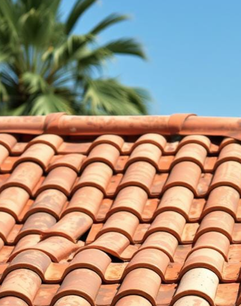 Close up of terracotta roof tiles with a blurred palm tree and blue sky in the background.