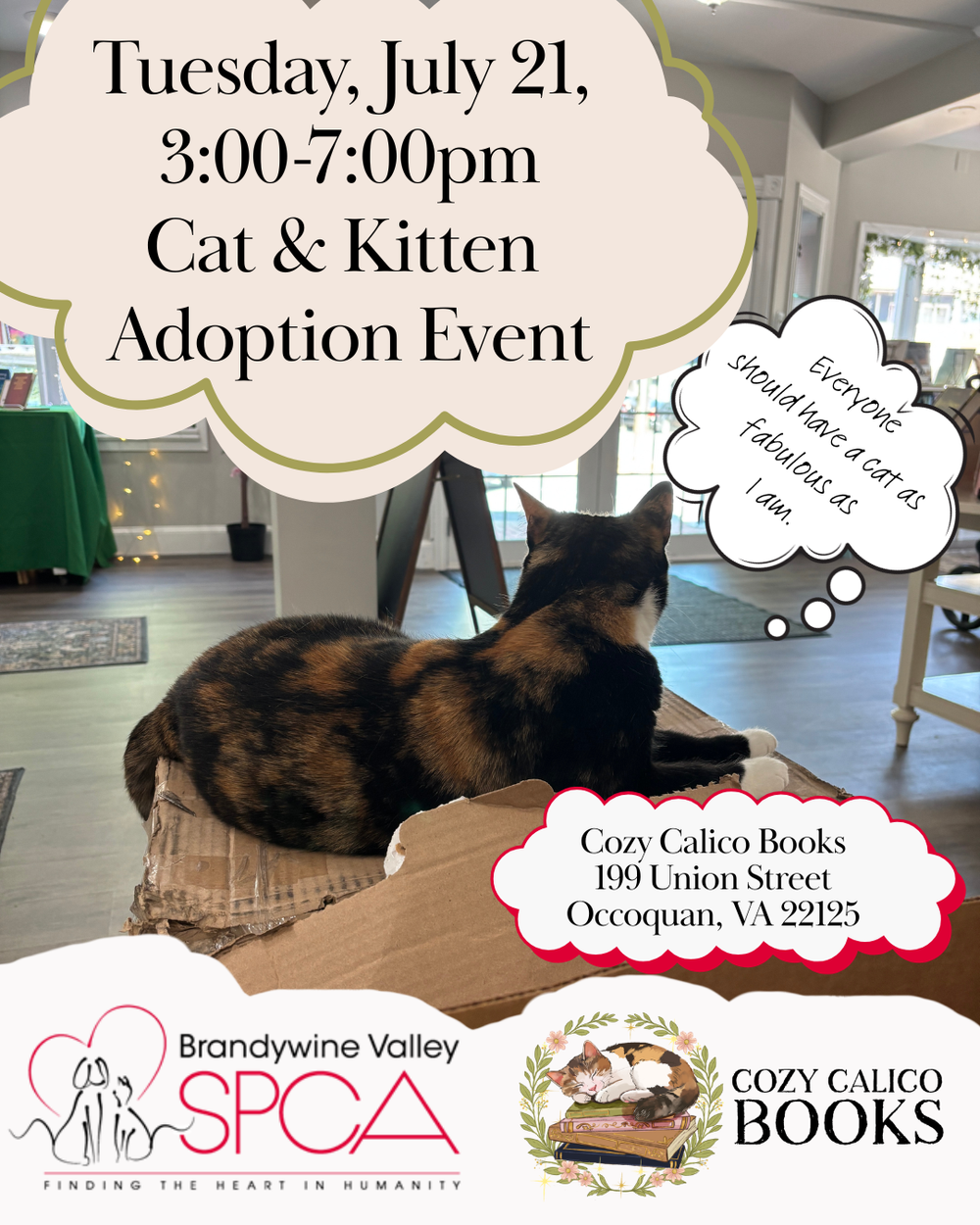 Cat & Kitten Adoption Event at Cozy Calico Books in Occoquan
