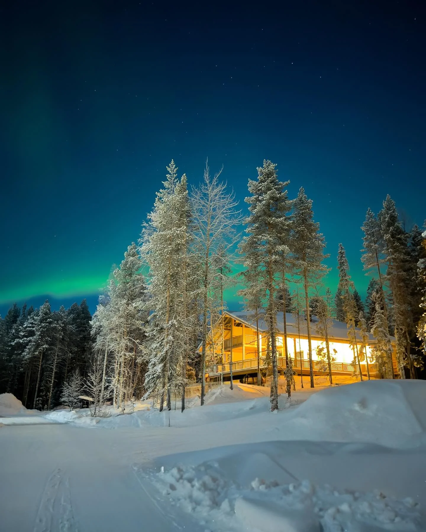 Revontulet tuli bongattua ja tietenkin makkaraa nuotiolla paistettua🫶🏻🌟🔭