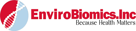ERMI mold testing for identifying indoor mold exposure and supporting targeted detox and environmental health protocols