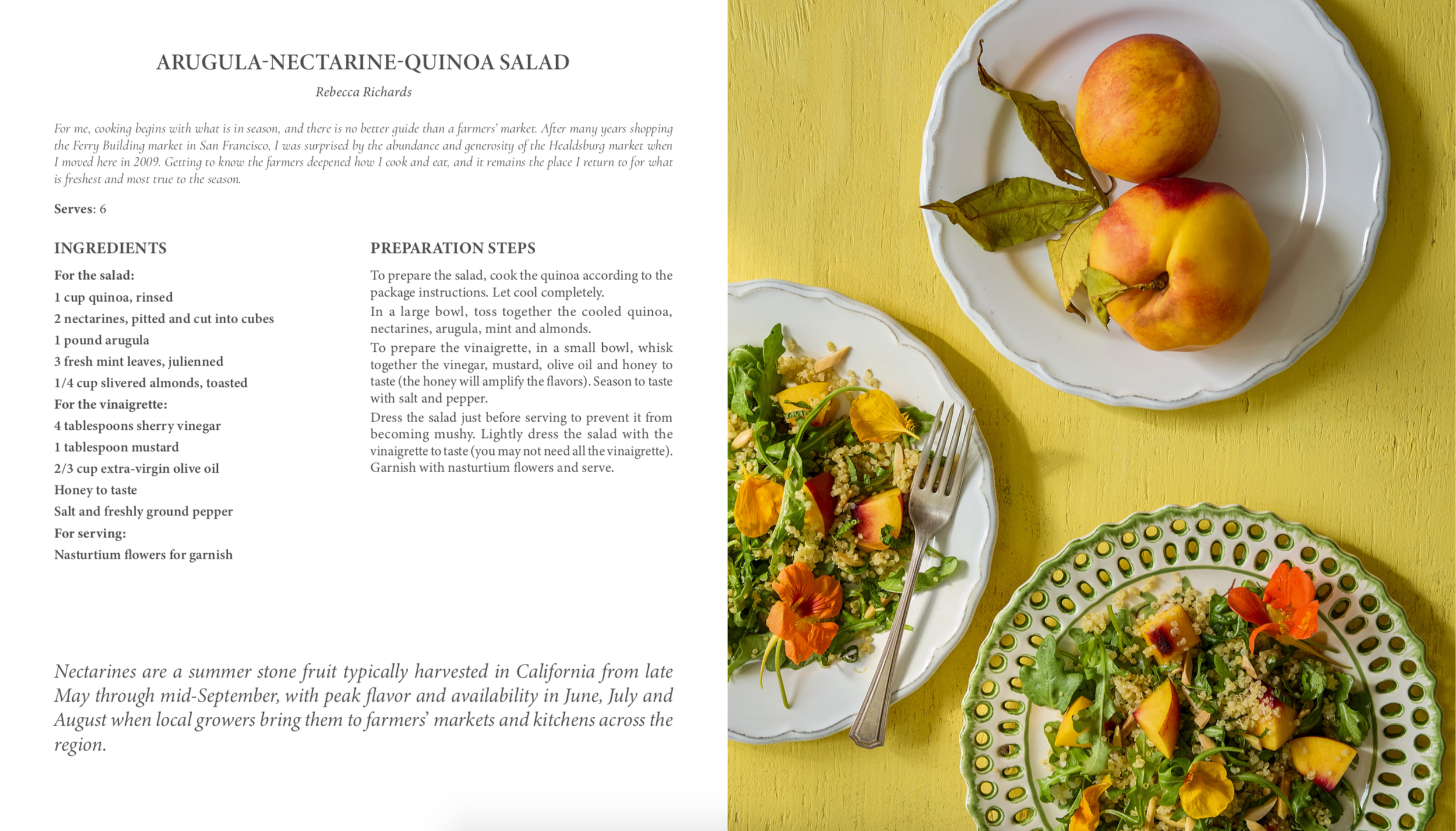 Screen Shot 2026-02-27 at 11.18.55 AM.png