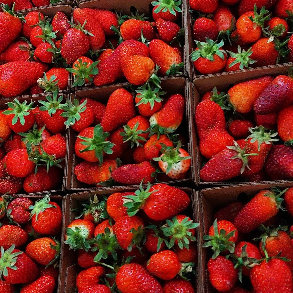 ‘This is how we live here…’ Liza’s market journey