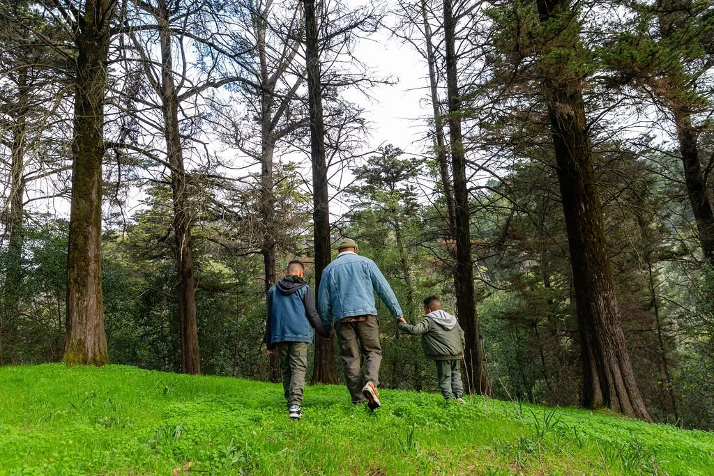 Family of three walking hand in hand through a green, wooded park with tall trees.
