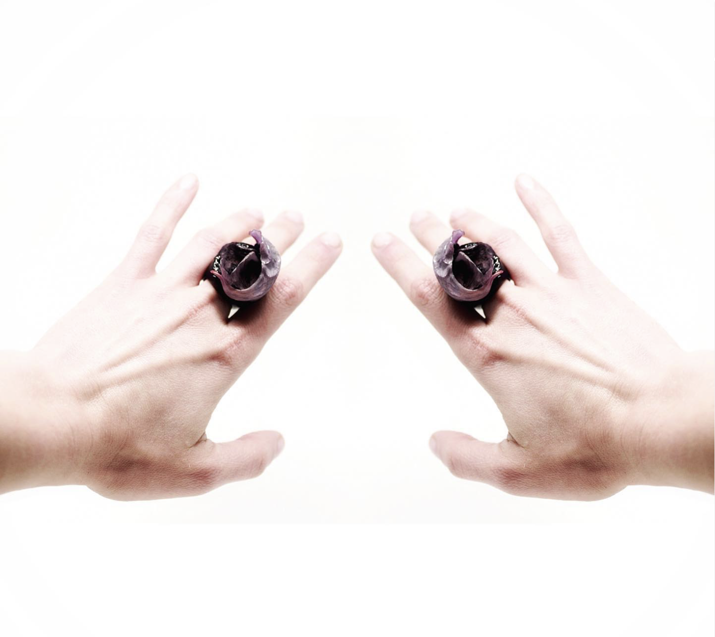 Ring Mon Baudelaire Heliotrope 'worn'