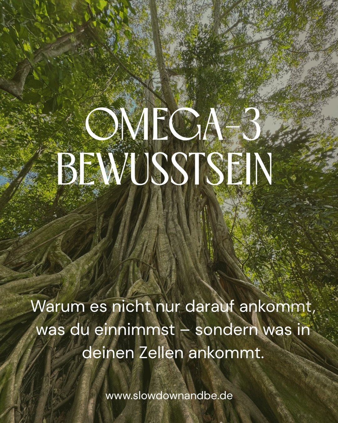 Vielleicht ern&auml;hrst du dich bewusst, bewegst dich regelm&auml;&szlig;ig und versuchst, gut auf dich und deinen K&ouml;rper zu achten &ndash; und trotzdem bleibt manchmal dieses Gef&uuml;hl, dass dir etwas fehlt.

Energie. Balance. Innere Ruhe. O