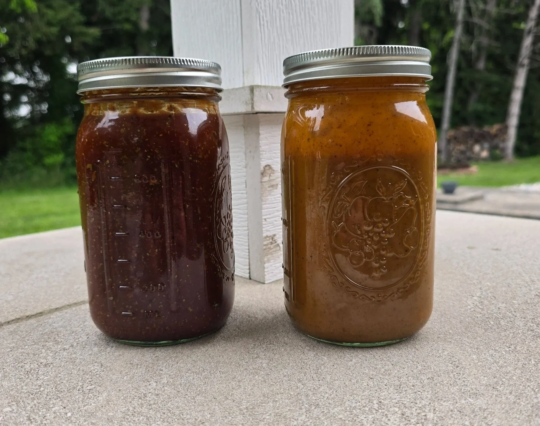 Two jars with metal lids on a concrete surface outdoors, one jar contains a dark red or purple jam or jelly, the other contains a brownish-orange sauce or preserves, with a blurred natural background of green trees and grass.