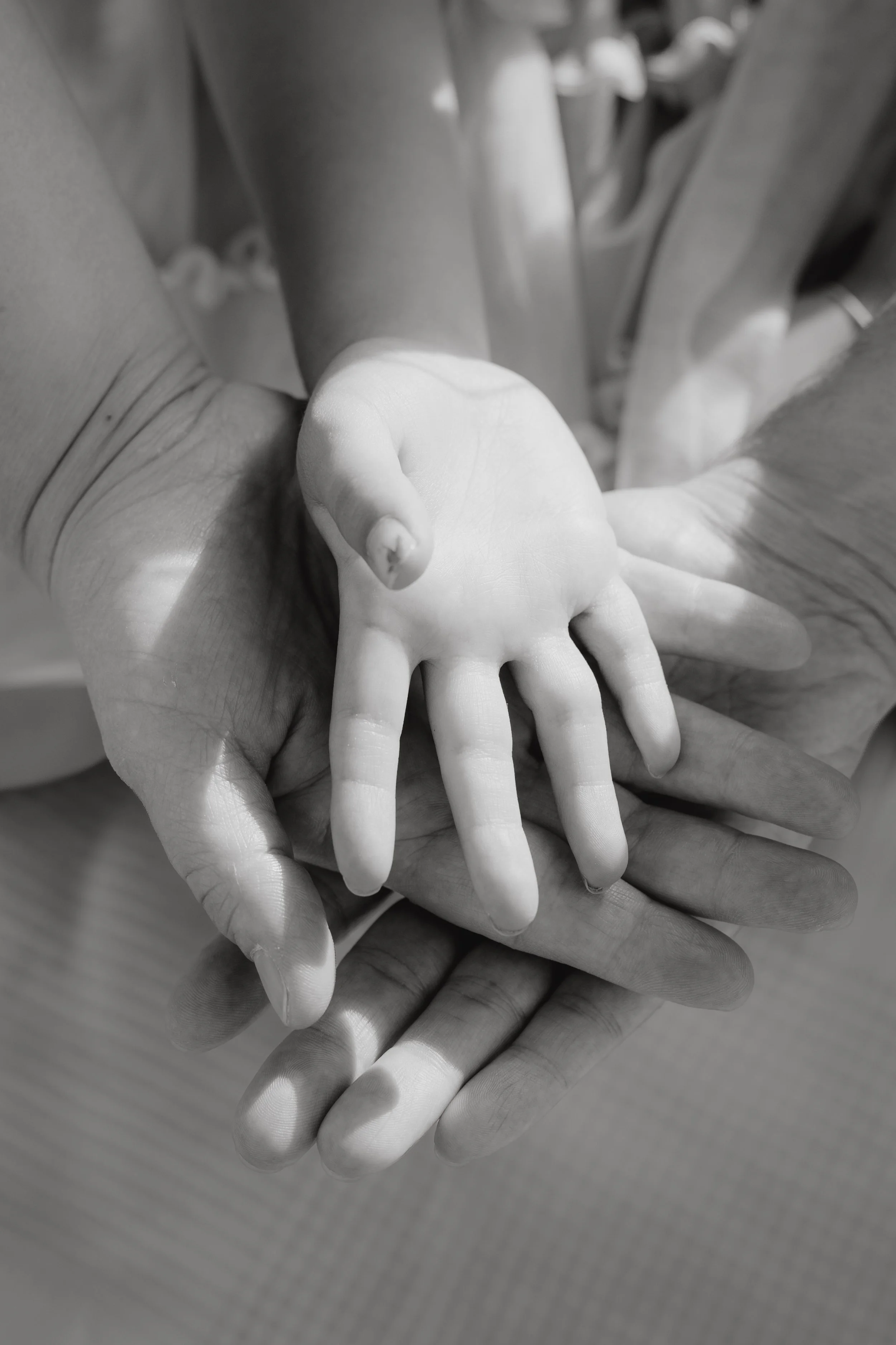 Schwarz-weiß-Fotografie von einer Hand hält eine kleinere Hand, es wirkt wie eine symbolische Geste der Unterstützung oder Verbundenheit.