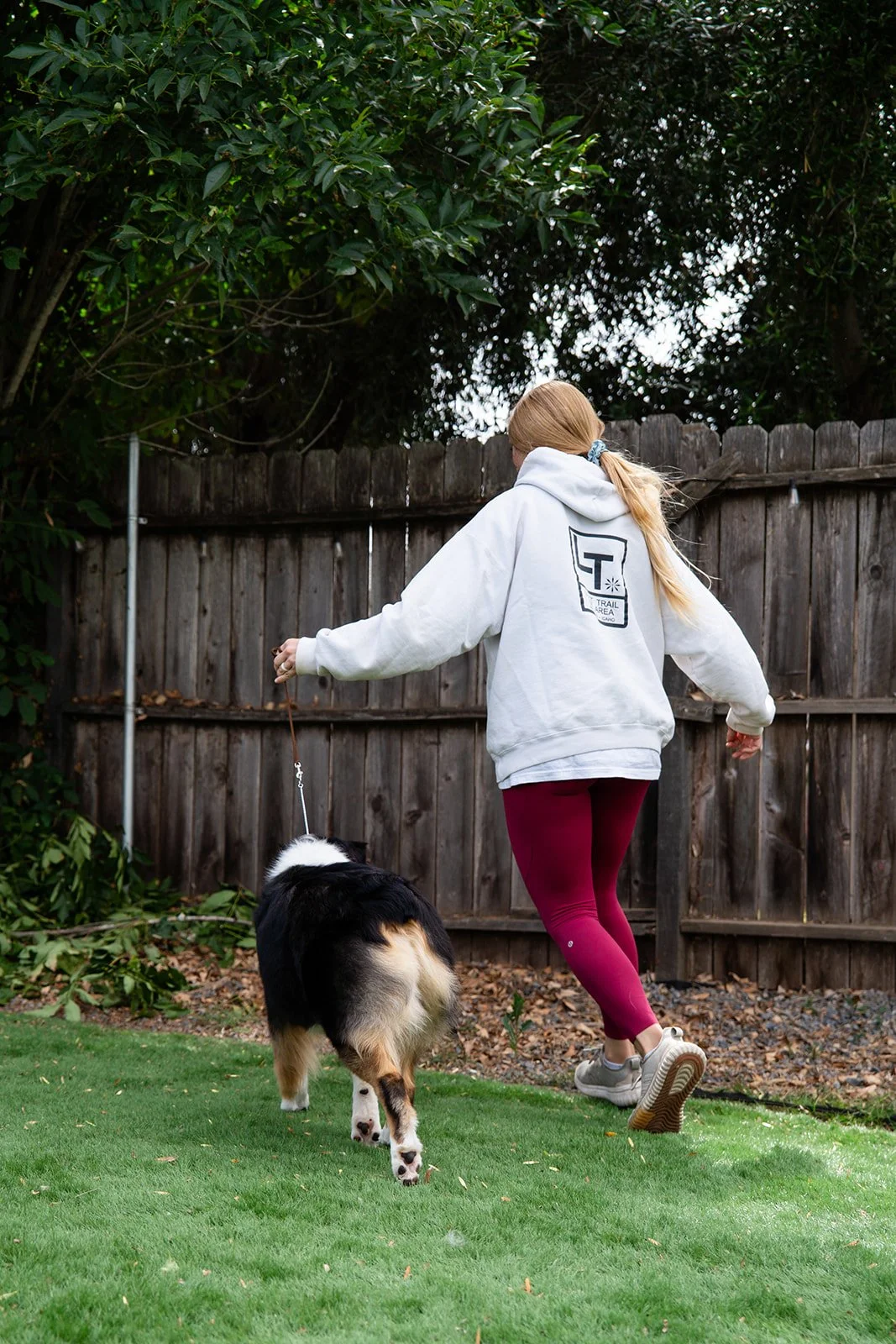 A person with blonde hair tied in a ponytail walking a black and white Australian Shepherd dog on a leash in a backyard with a wooden fence and leafy trees. Australian Shepherd breeder near me. Australian Shepherd for sale.