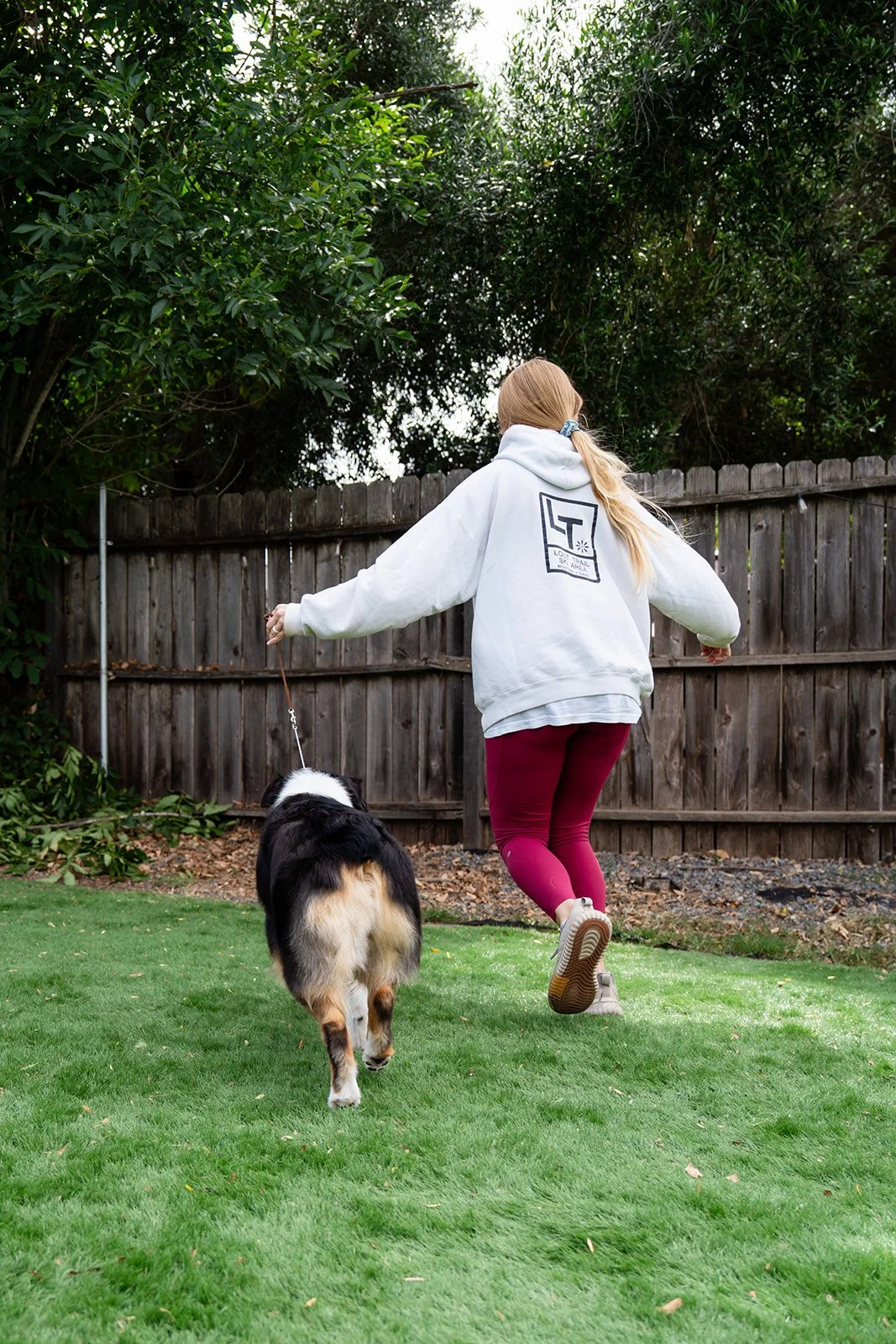 A woman wearing a white hoodie and maroon leggings is running in a backyard with a dog on a leash. The backyard has a green lawn, a wooden fence, and tall trees. Australian Shepherd breeder near me. Australian Shepherd puppies for sale.