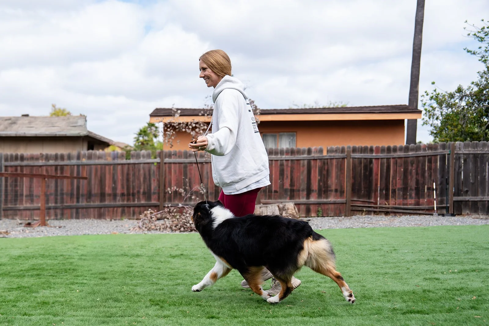 Woman playing with a black, white, and brown Australian Shepherd dog in a backyard with green grass and wooden fence.