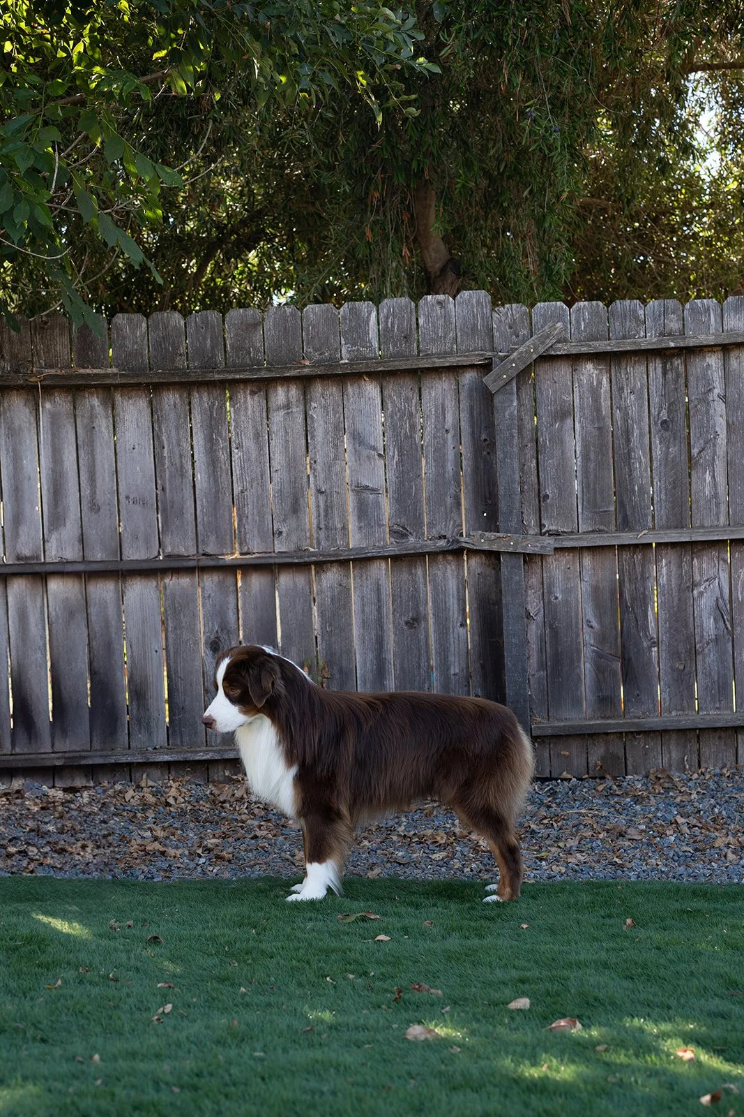 DSC09952.jpg