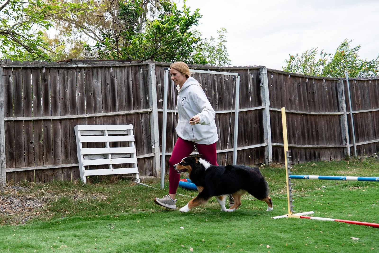 A woman walking a dog through an outdoor agility course in a backyard, with agility equipment like a jump and a ramp visible in the scene.