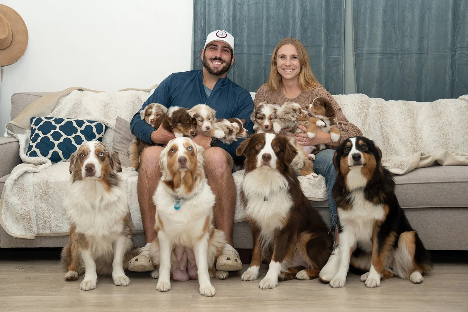 Australian Shepherds