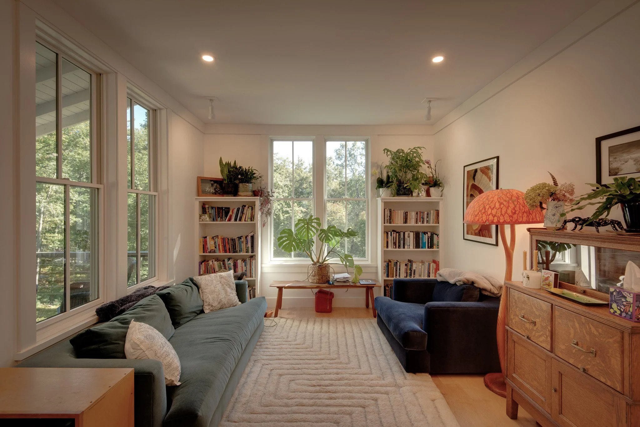 Larson house WEB-3.jpg