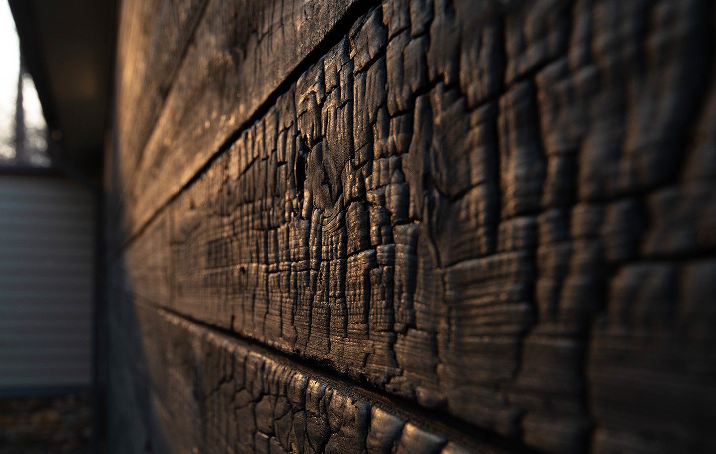 Close-up of a weathered, burned wooden wall with deep cracks and charred surface, illuminated by warm sunlight.