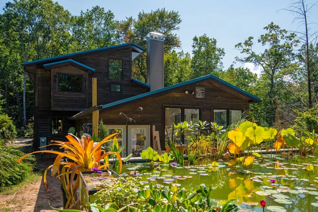 A cozy dark wooden house surrounded by trees, with a pond filled with water lilies and lush plants in the foreground.