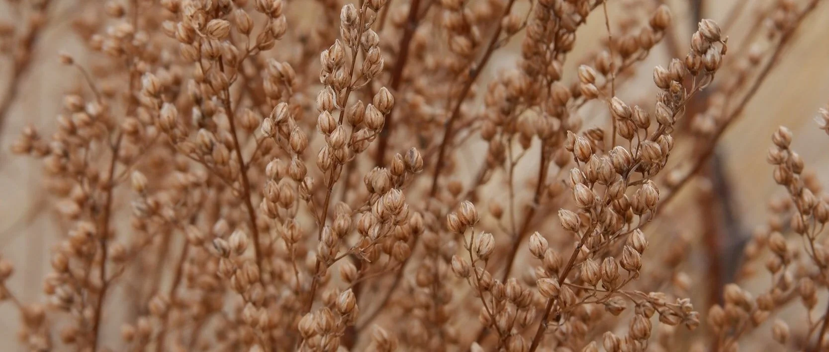 How Do Sleep Patterns Influence Depression?