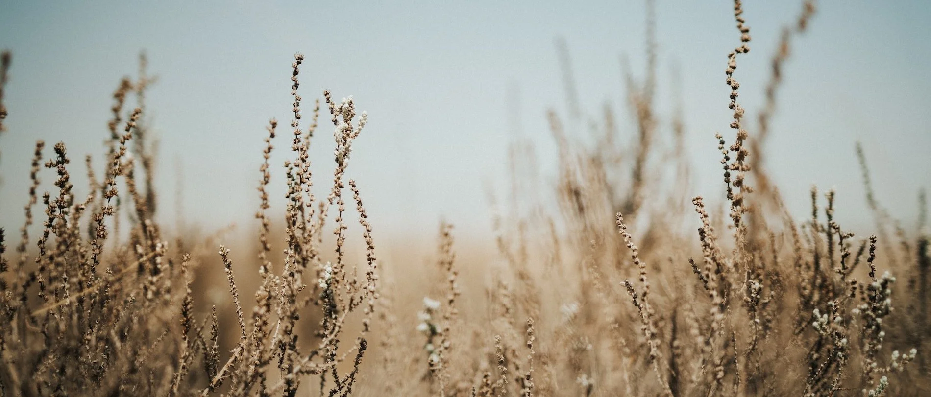 4 Signs of Unhealed Attachment Trauma