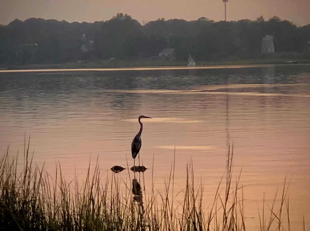 lake scene photo by lisa