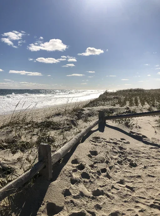 beach scene photo by lisa