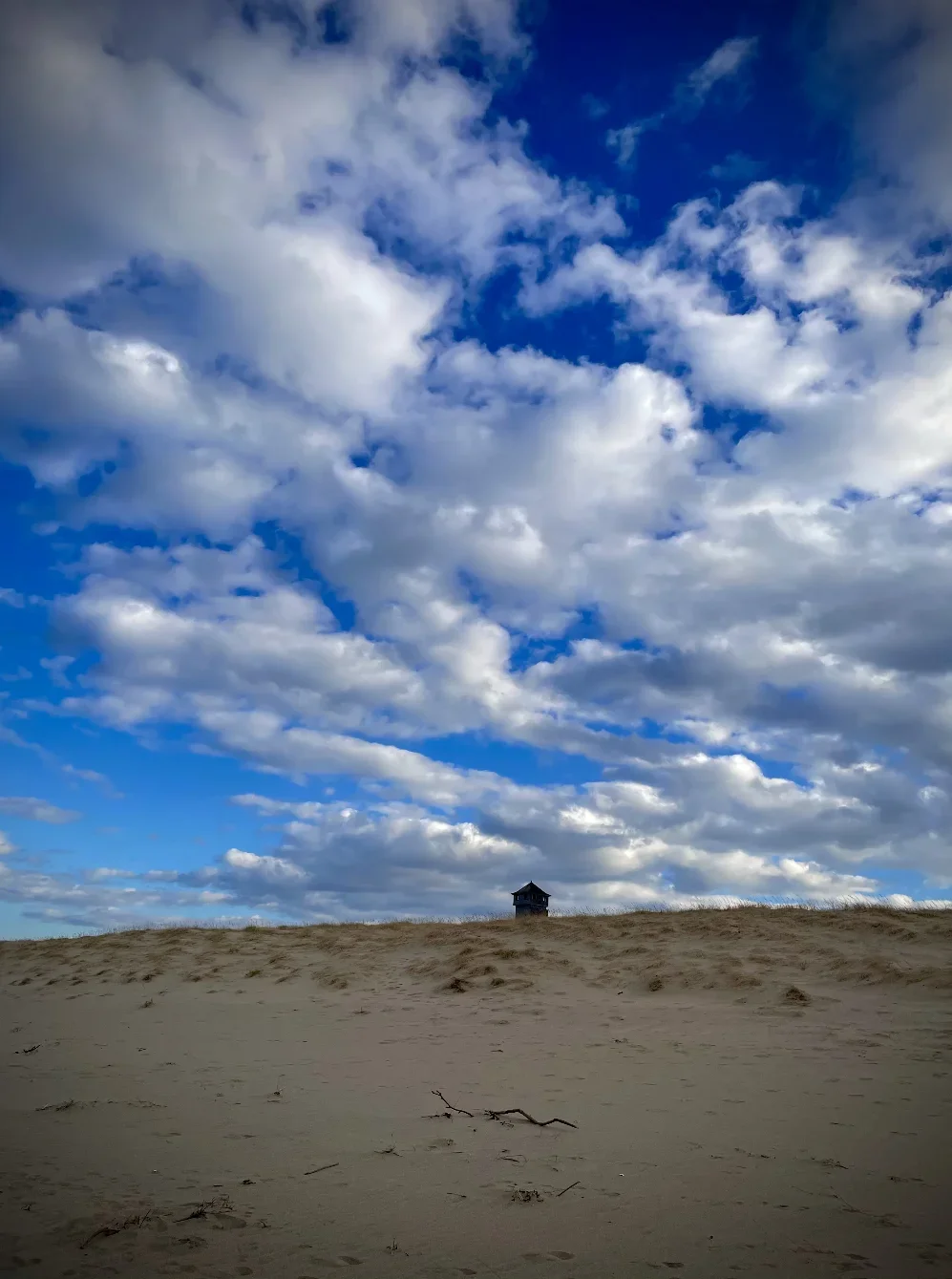 beach scene photo by lisa