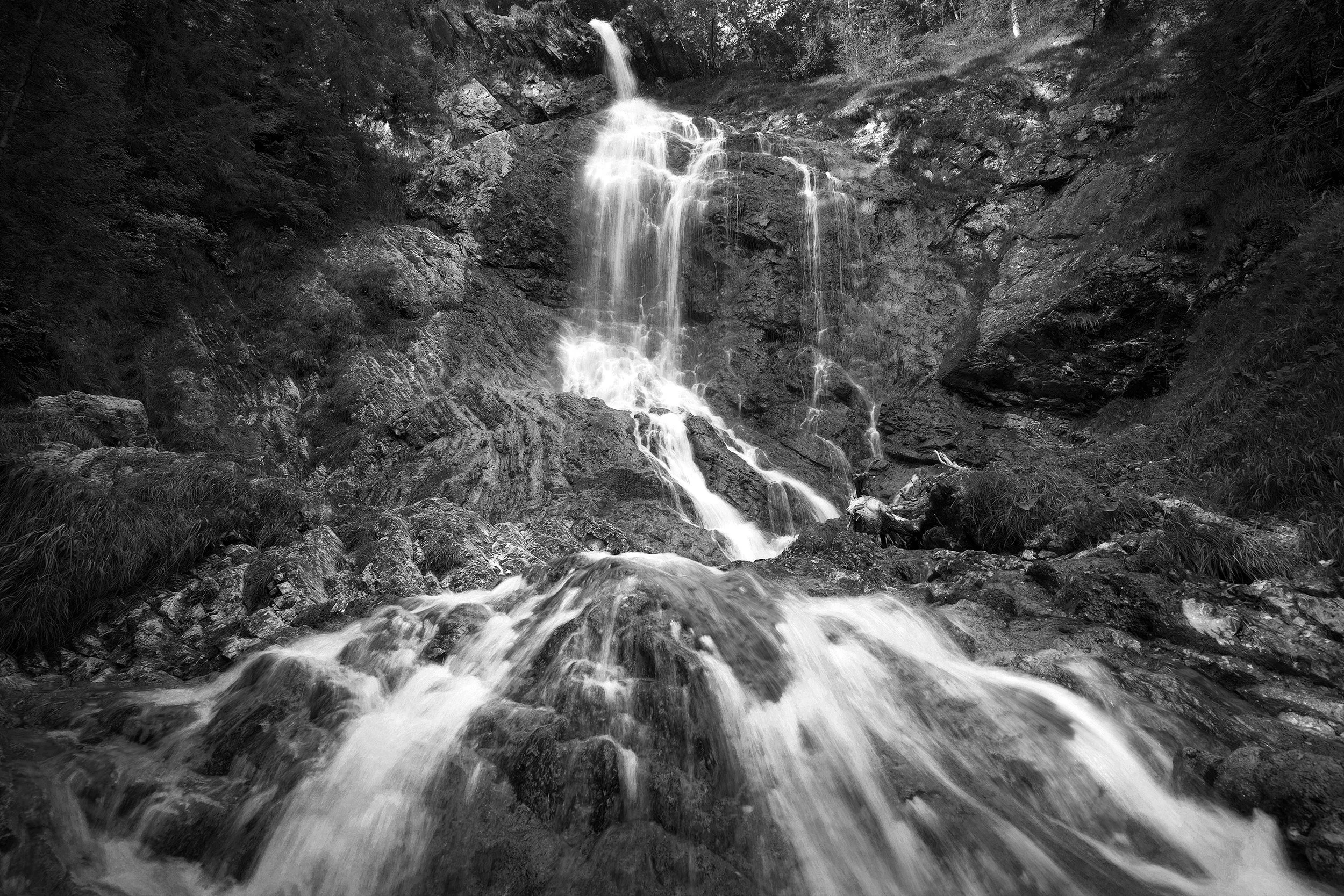 Black and white photo of a waterfall flowing down rocks with surrounding trees and bushes.