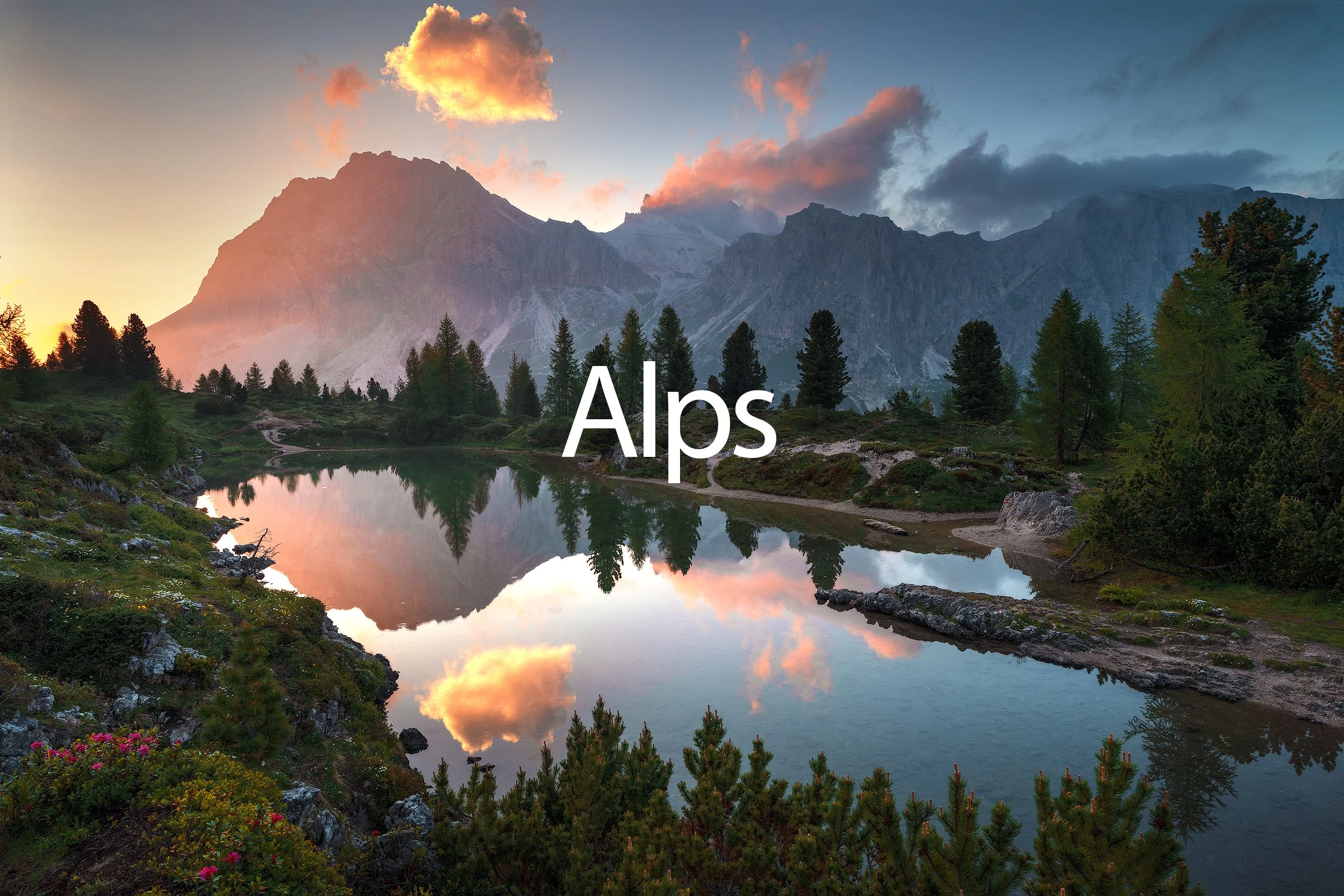 Alps Gallery