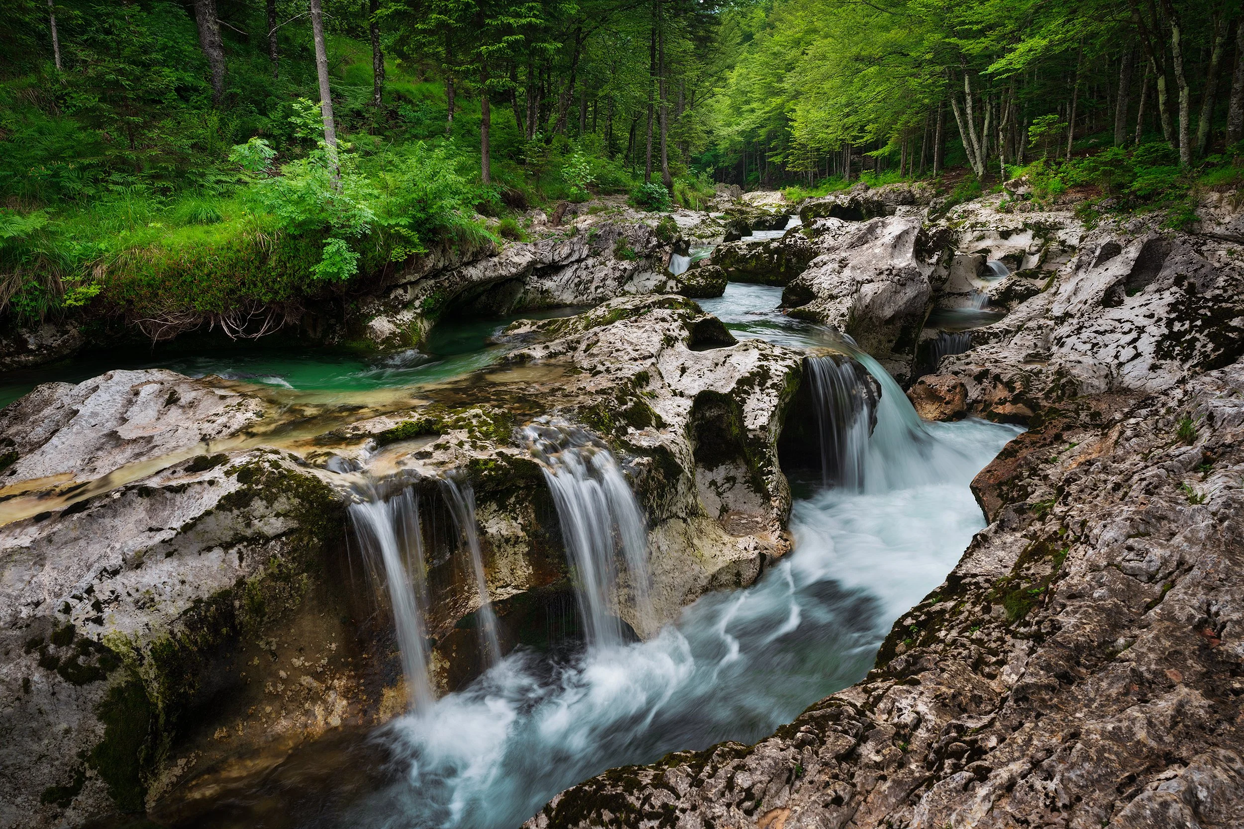 A scenic view of a small waterfall cascading over rocks in a forested area with lush green trees.