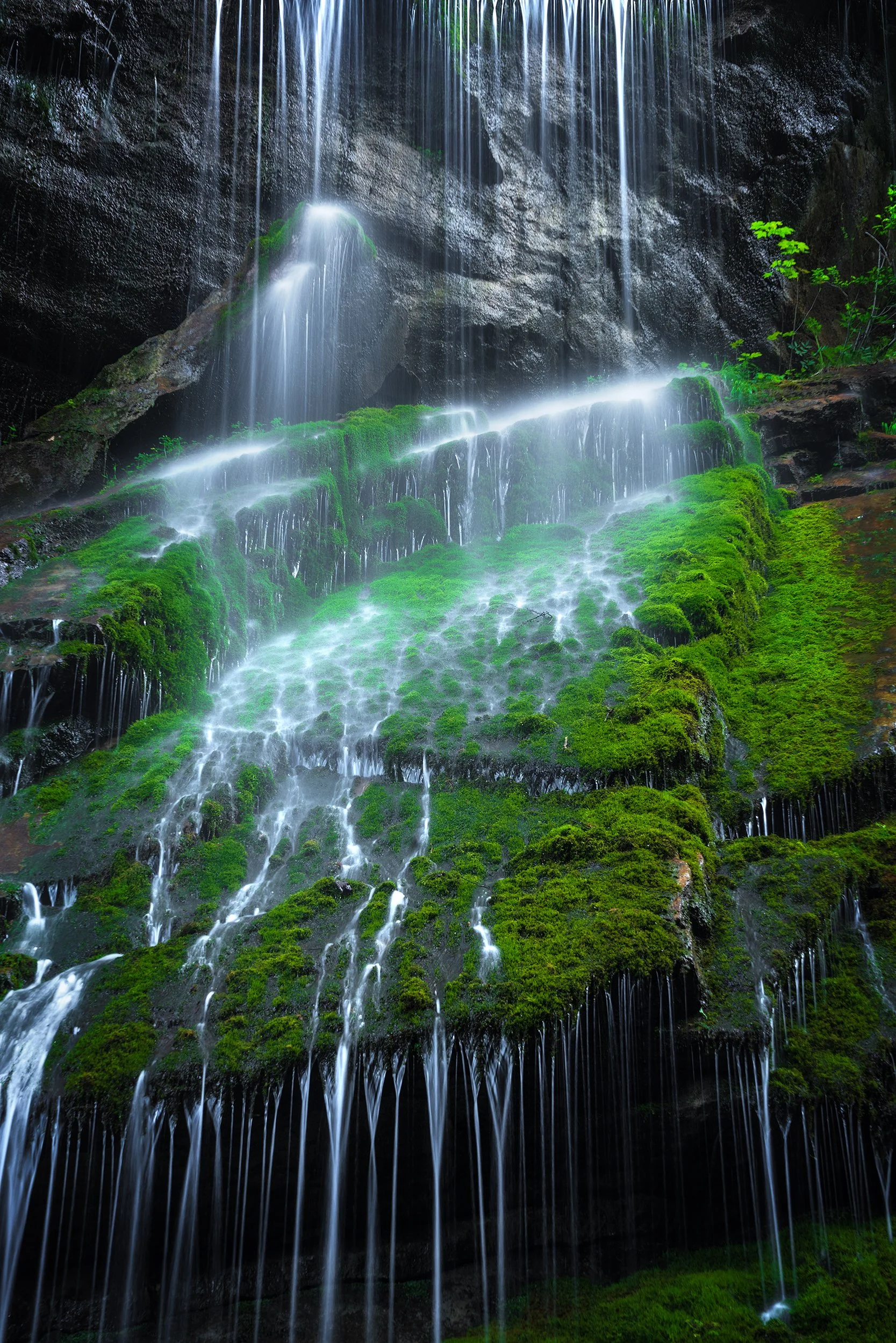 Waterfall with moss-covered rocks and green vegetation.