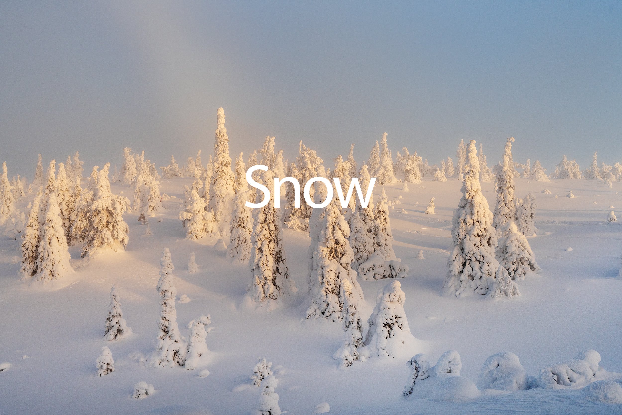 Snow Gallery