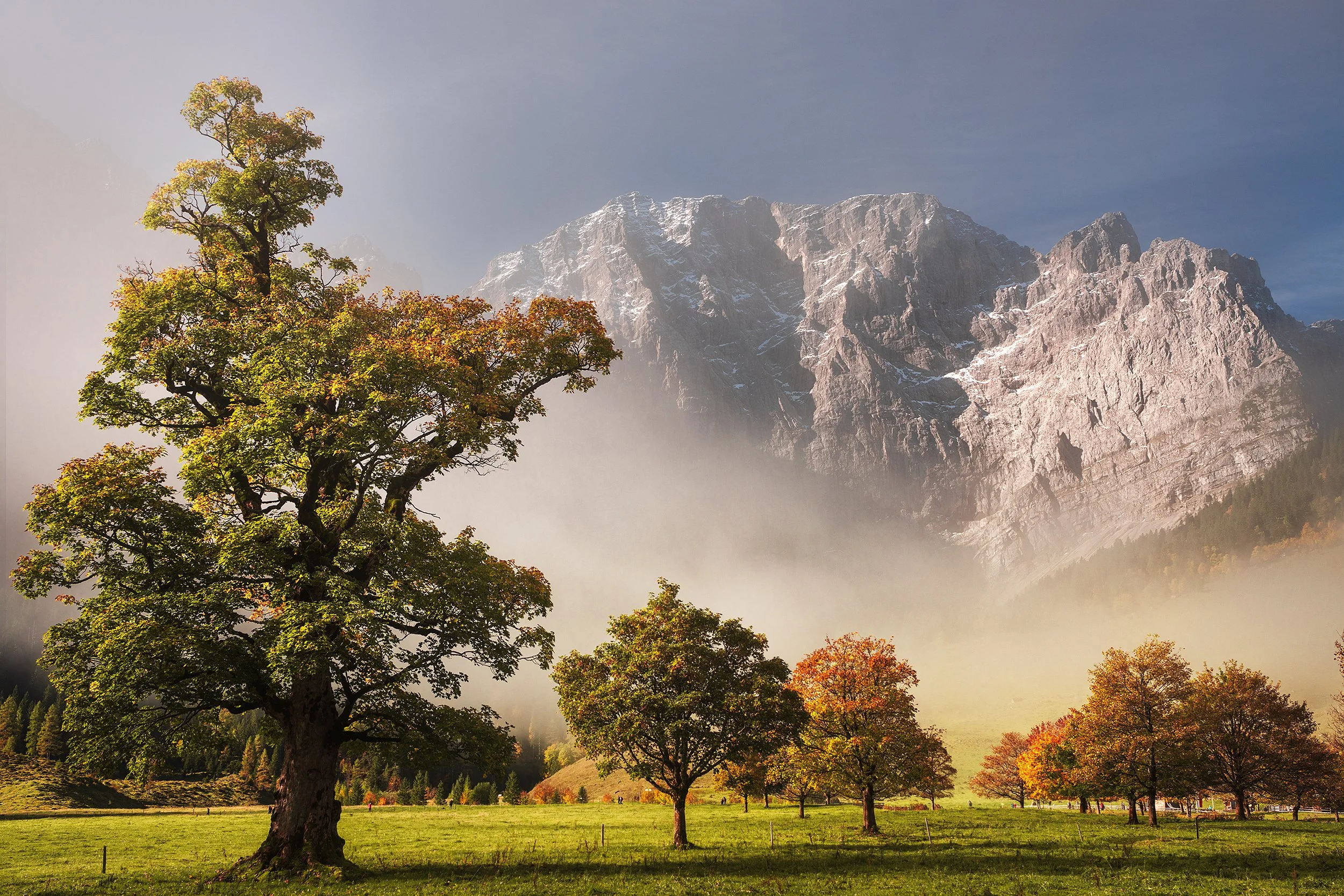 A scenic landscape with autumn-colored trees in a green meadow, mountain peaks in the background partially covered with snow, and mist rolling through the valley under a clear sky.