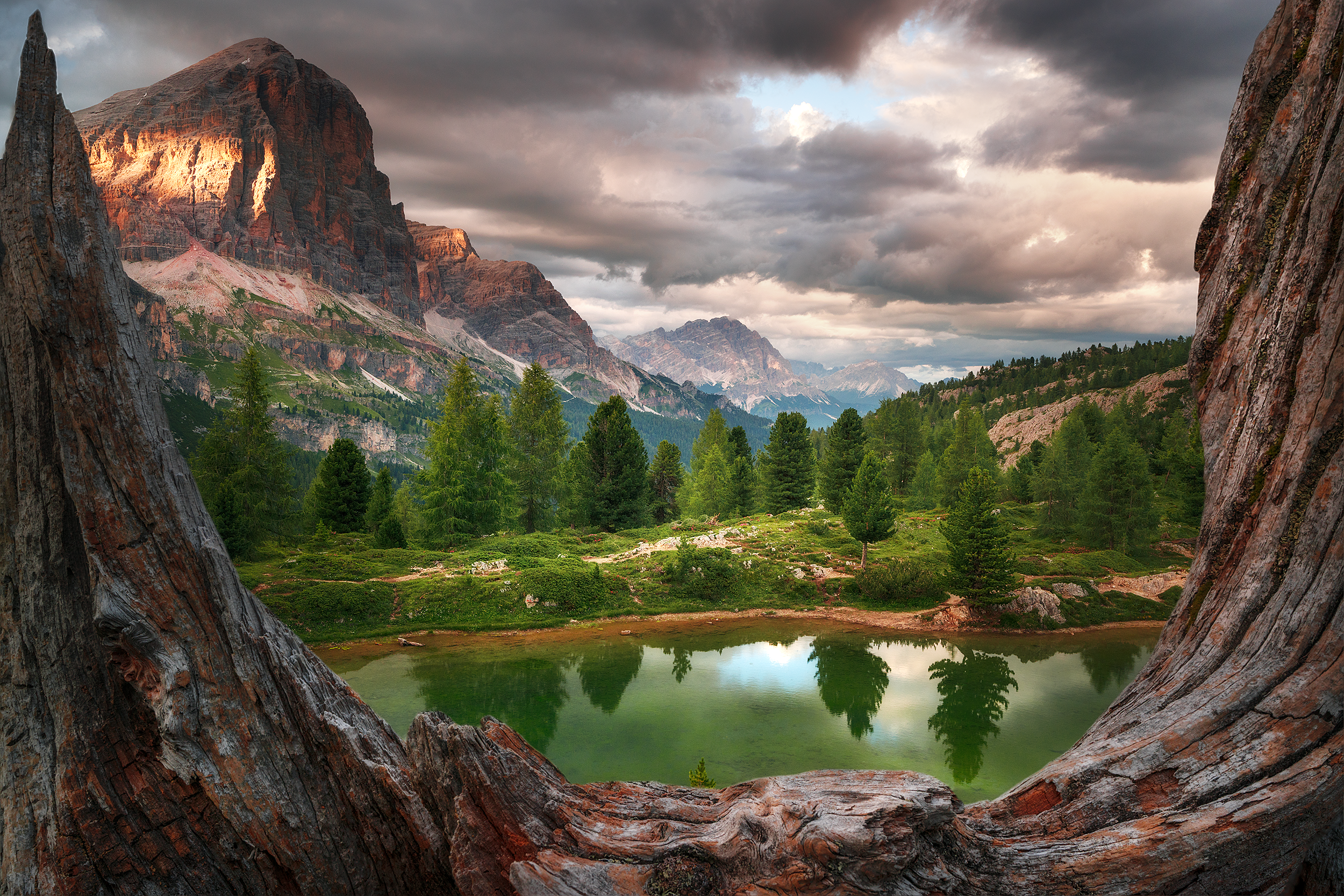 A scenic mountain landscape framed by a large tree trunk with a mountain range, green forest, and a lake reflecting the sky and trees.