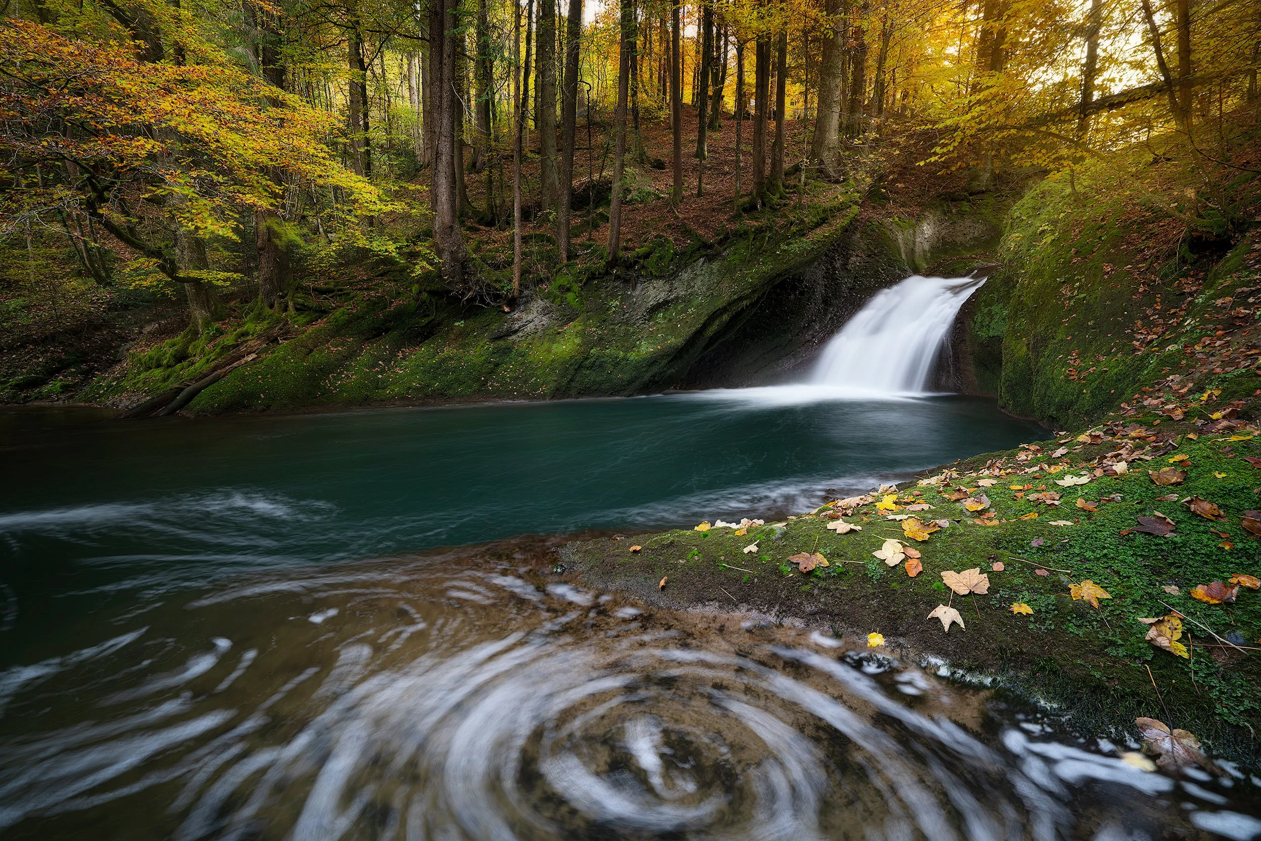 A peaceful forest scene with a small waterfall flowing into a serene, clear green pool surrounded by trees with autumn leaves and moss-covered rocks.