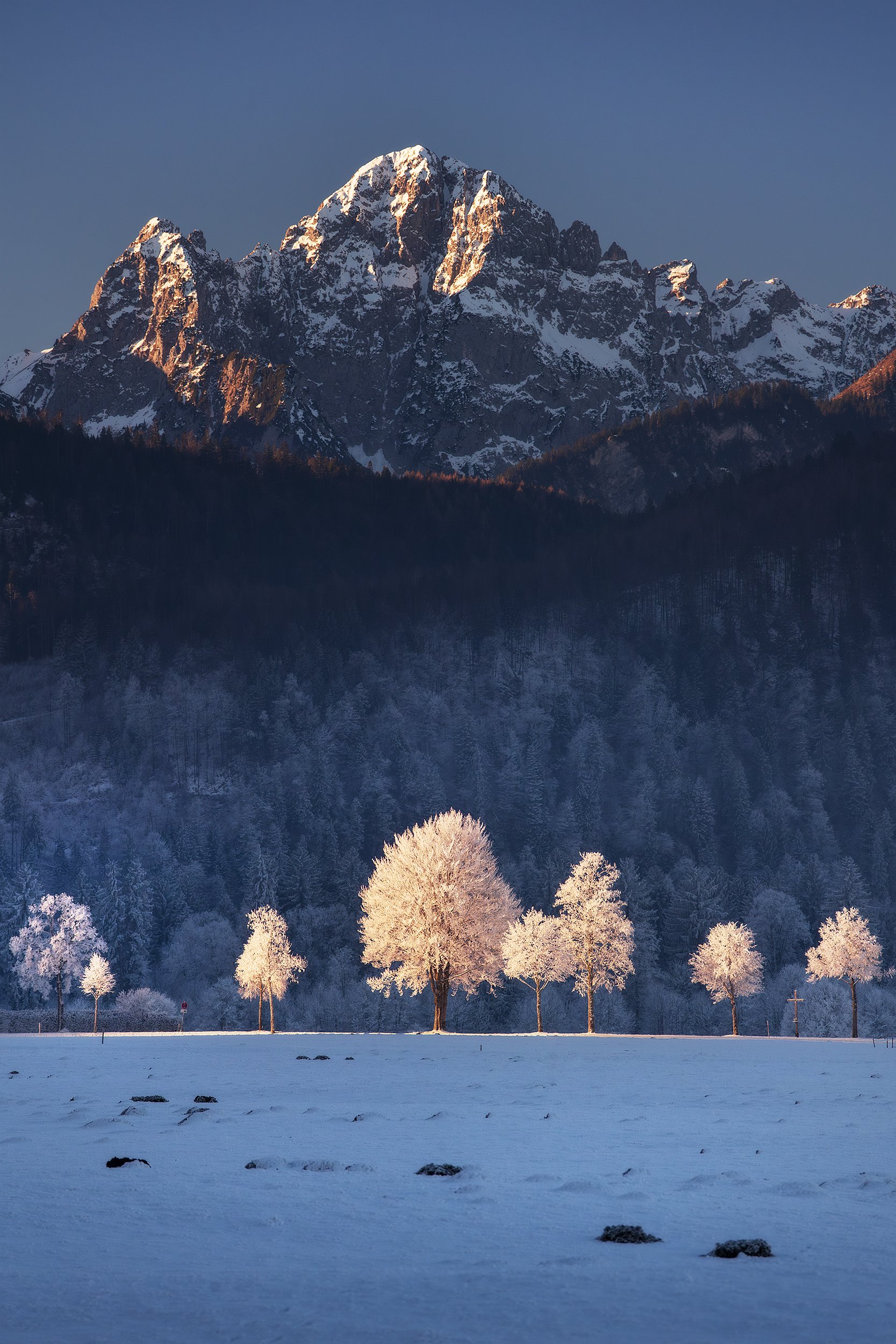 Snow-covered landscape with seven frosted trees in the foreground, dark forested hill behind, and snow-capped mountain peak in the background under a clear sky.